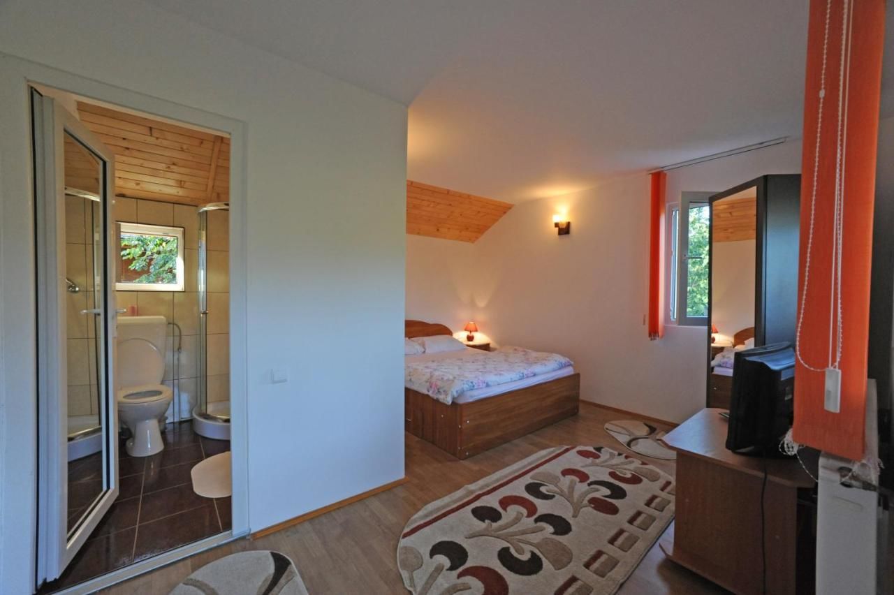 Загородные дома Casa Georgeta Бран-15