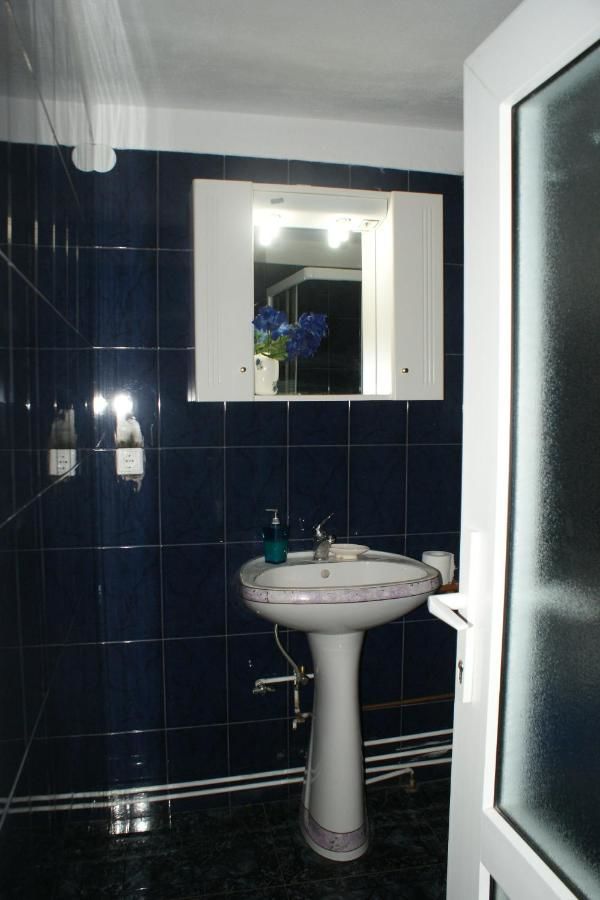 Загородные дома Casa Georgeta Бран-20