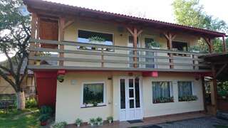 Загородные дома Casa Georgeta Бран-7